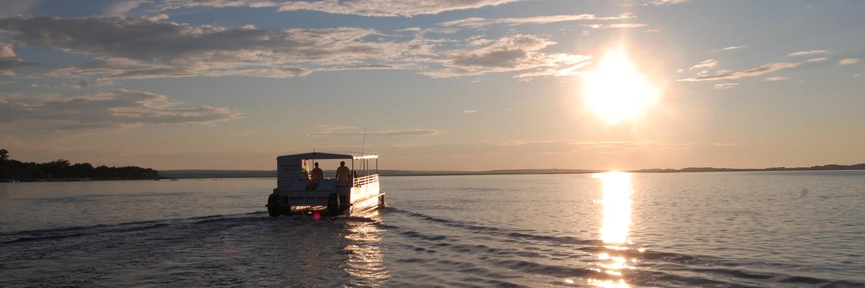CapeCodEcotours's profile banner image