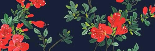AgossBanchero's profile banner image