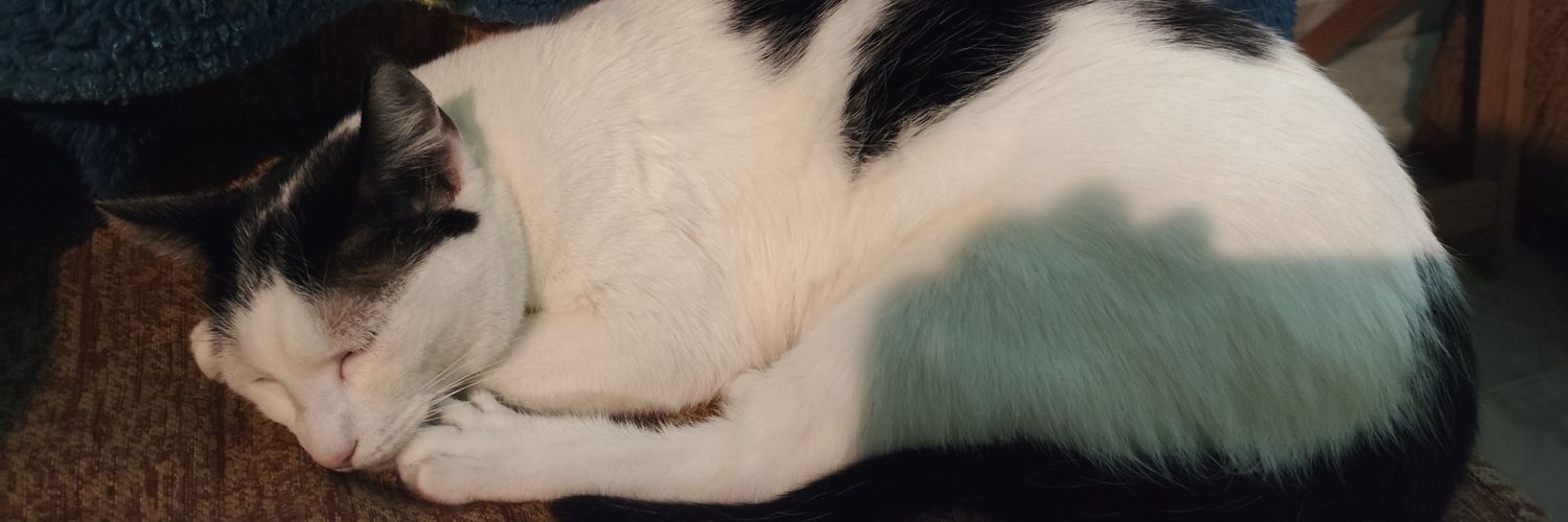 ManoloMalito's profile banner image