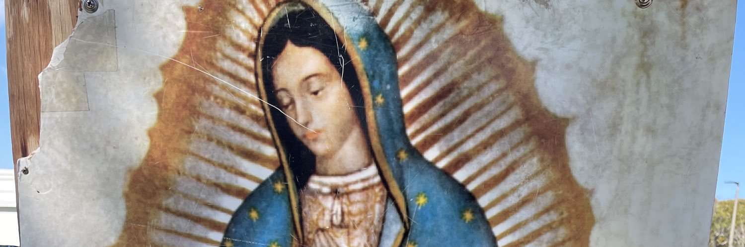 Pro Life Army 365 banner