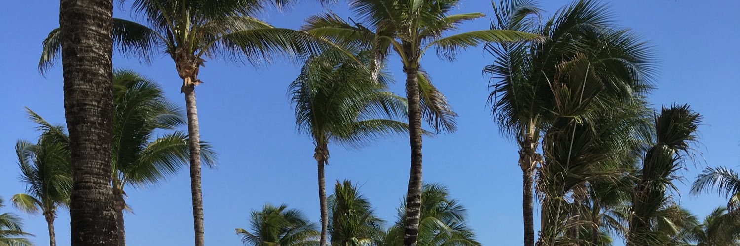 Alaina_accetta's profile banner image