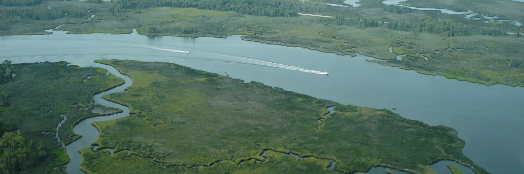 ProBass Networks banner