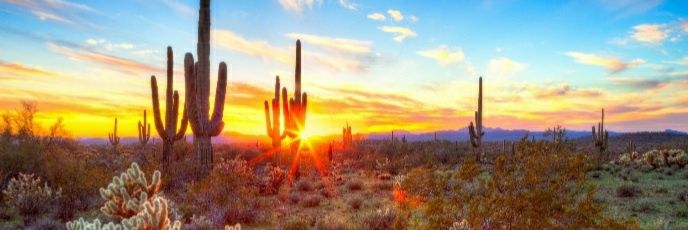 JeffTendick's profile banner image