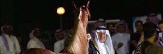 bdr_rashed's profile banner image