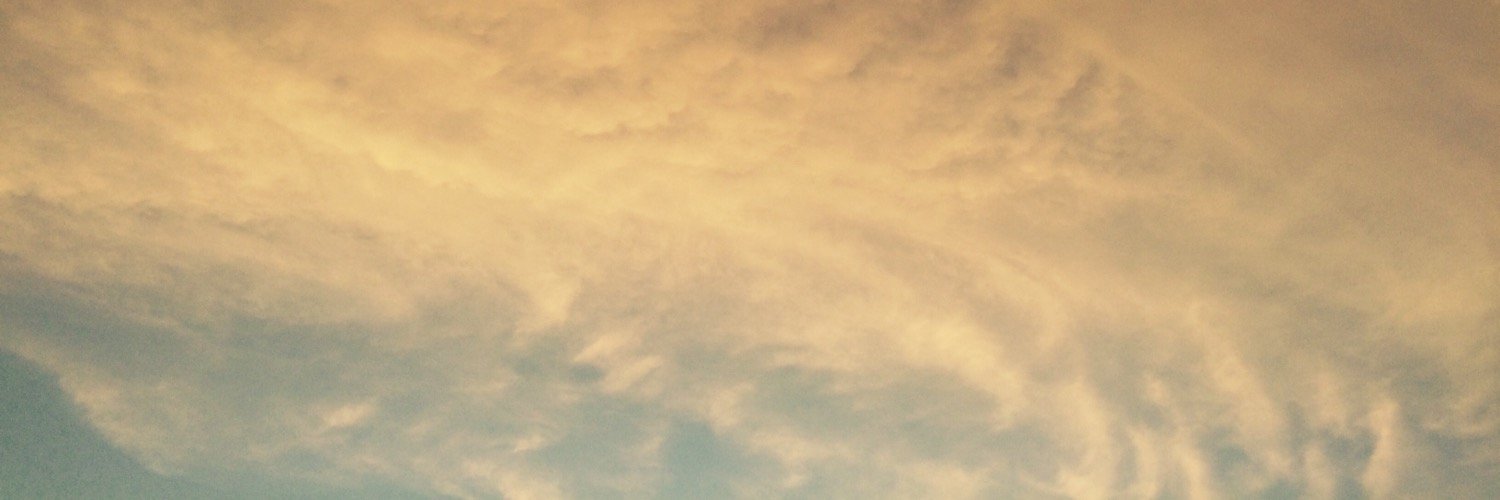 sa31291's profile banner image