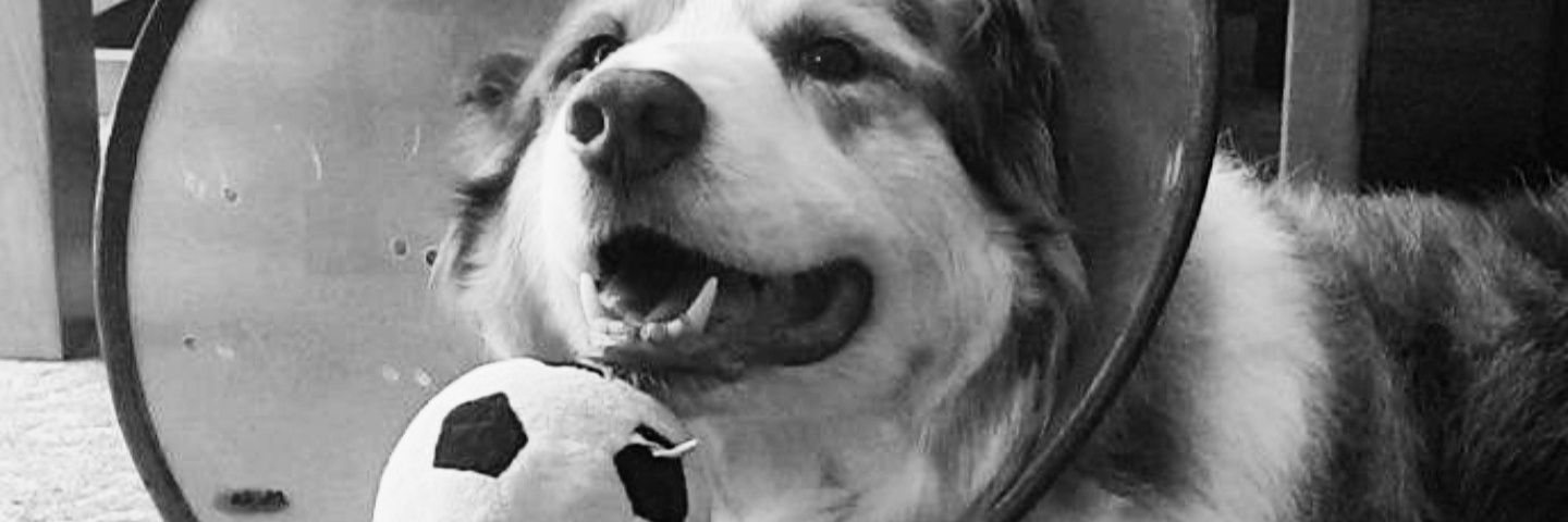 Jvmesface's profile banner image