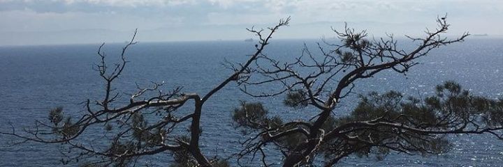 isik_kir's profile banner image