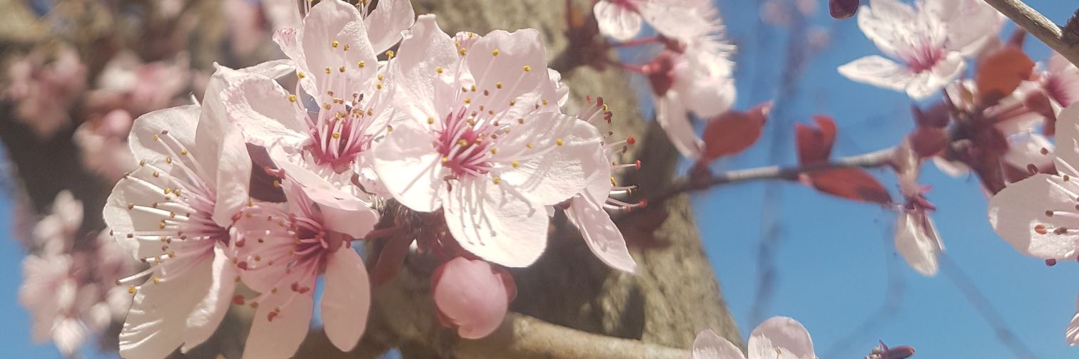 alba_baldeon's profile banner image