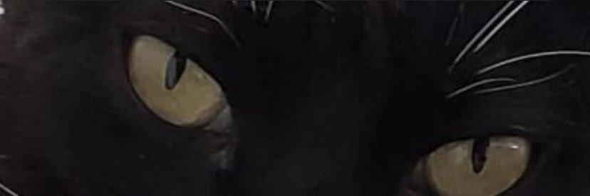 Rossana_09's profile banner image