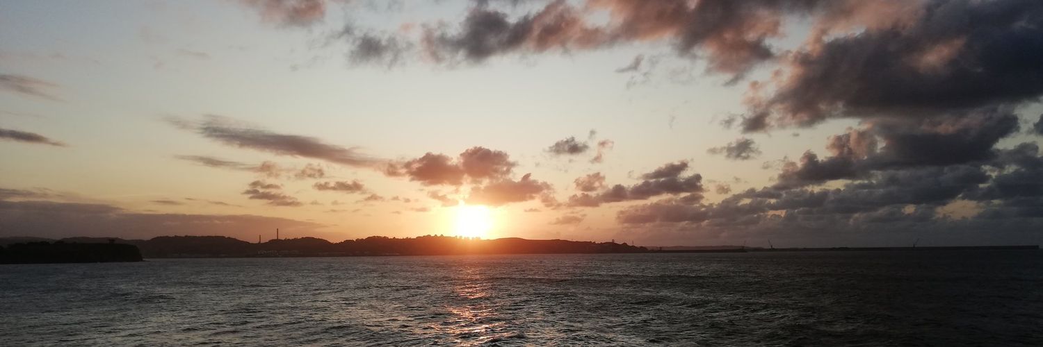 Cesini96's profile banner image