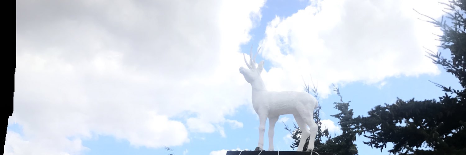 wascaralm's profile banner image