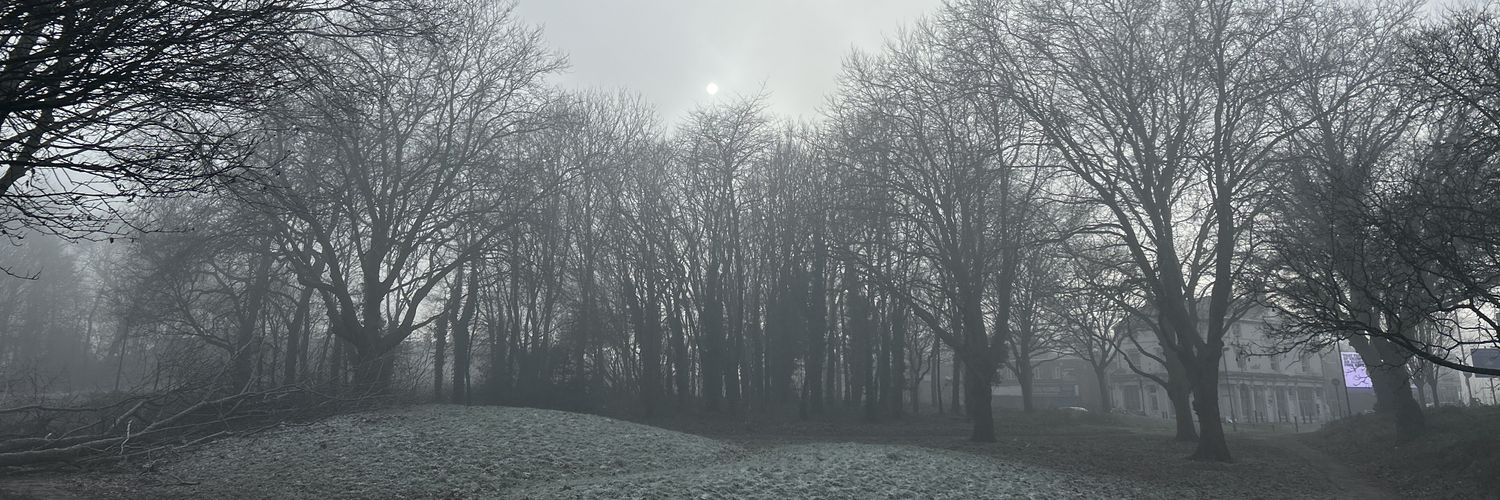 bmswrites's profile banner image
