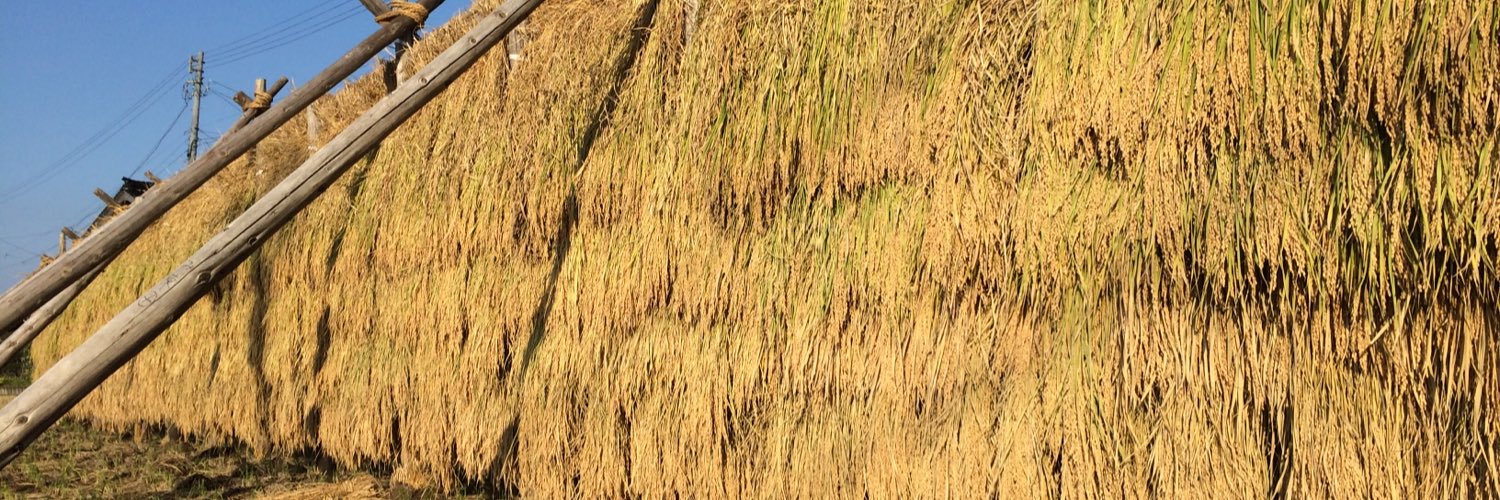 ukulele3215's profile banner image