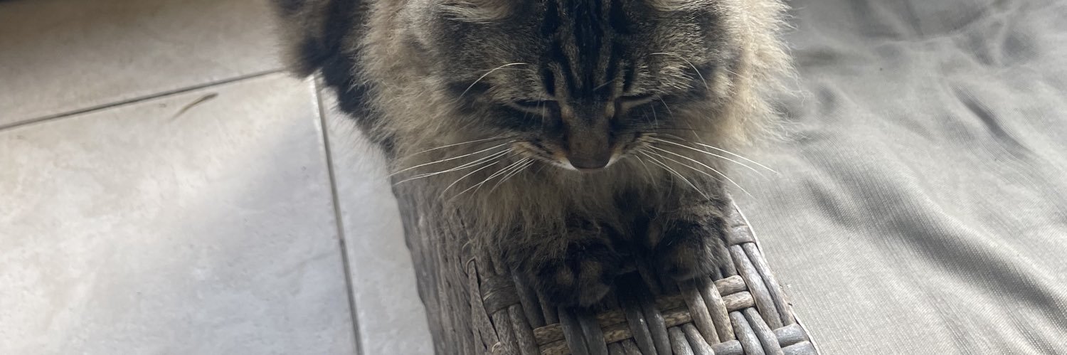 tealsampson's profile banner image
