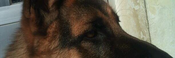 fran_miraz's profile banner image