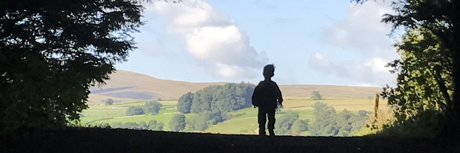 sheppane's profile banner image