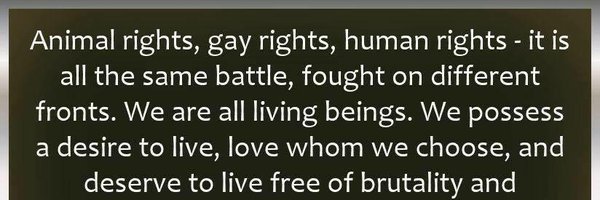 torrie Profile Banner