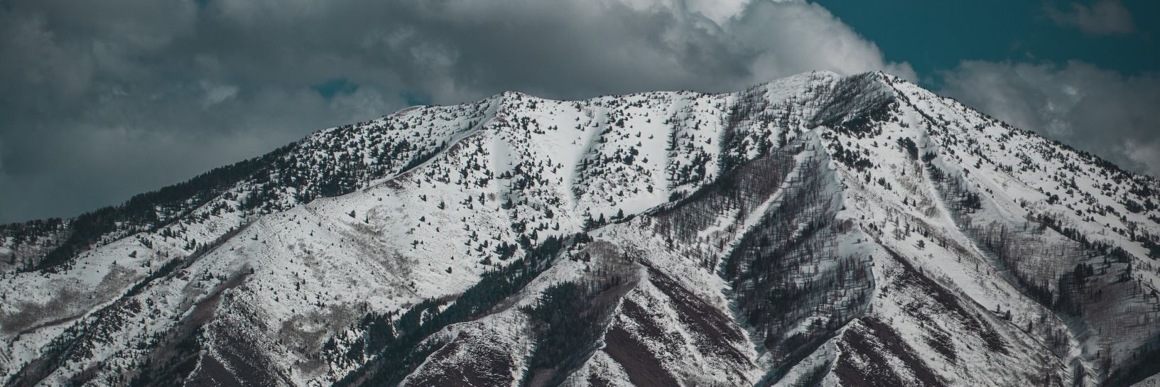 caleb_camera's profile banner image