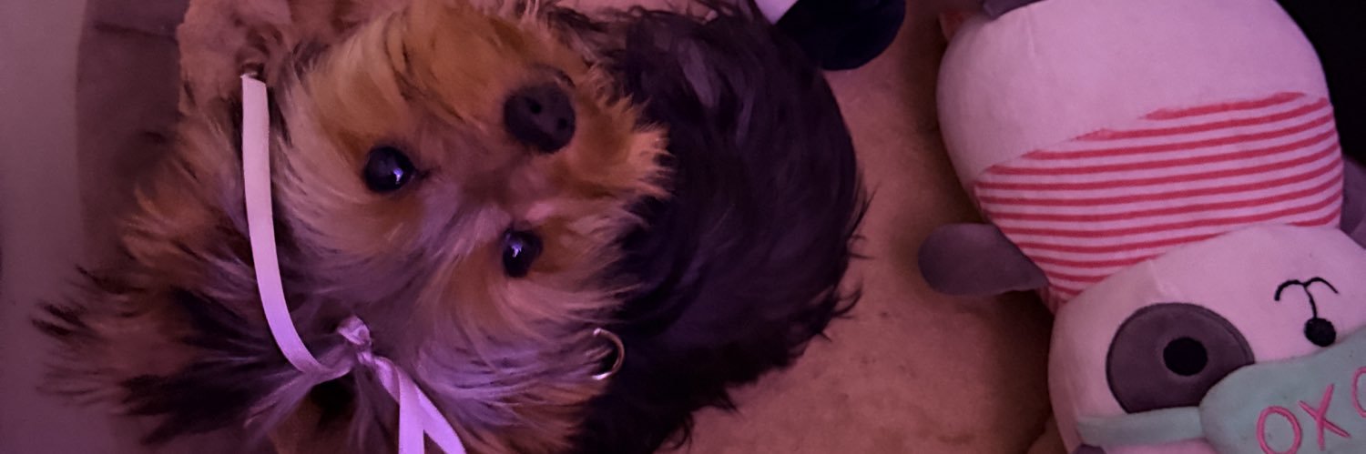 ssofía banner