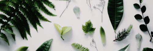 lfavsjauregui's profile banner image
