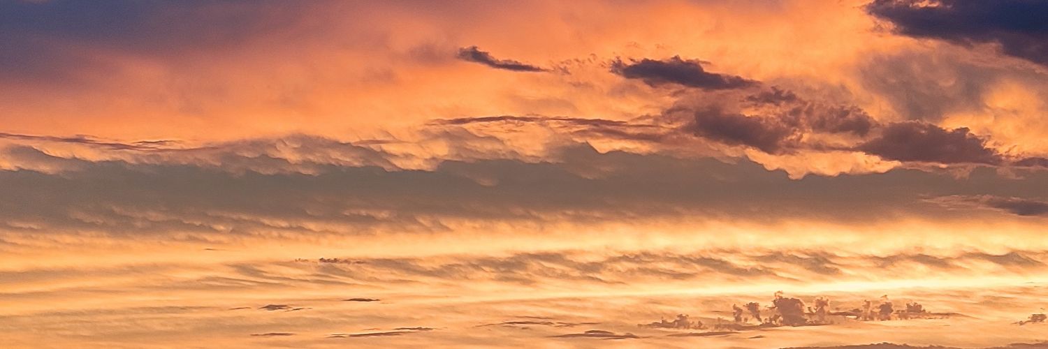 melsitqx's profile banner image