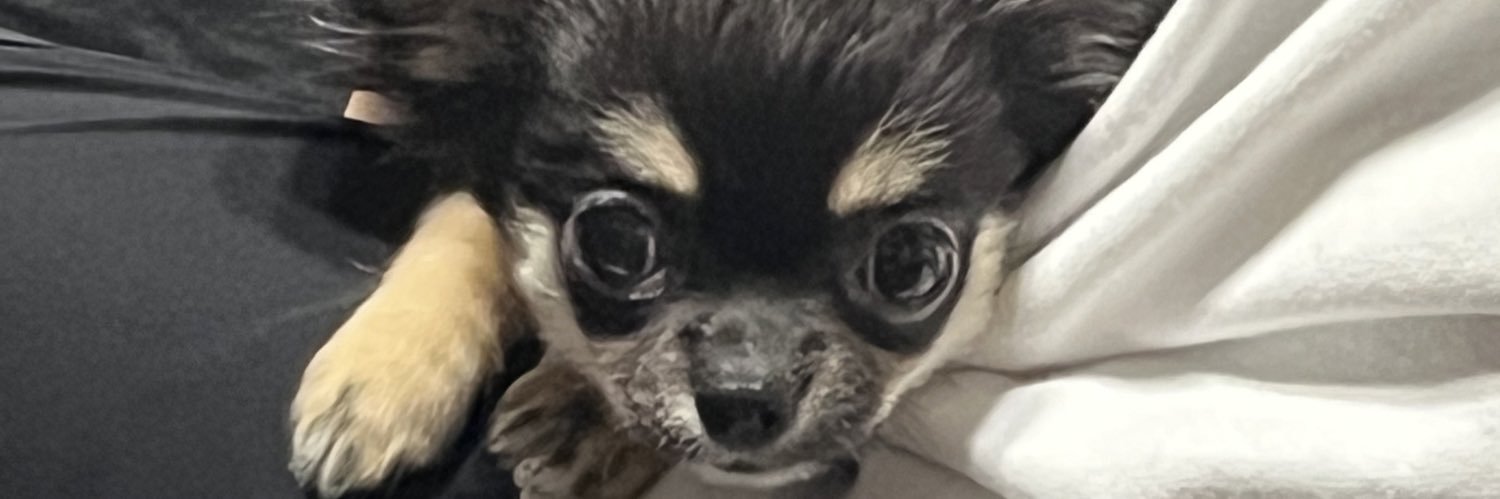 ViippRy's profile banner image