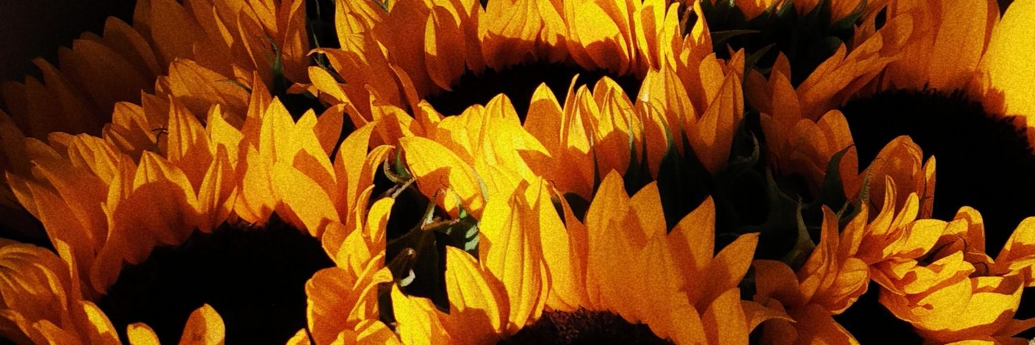 mariagaroj's profile banner image