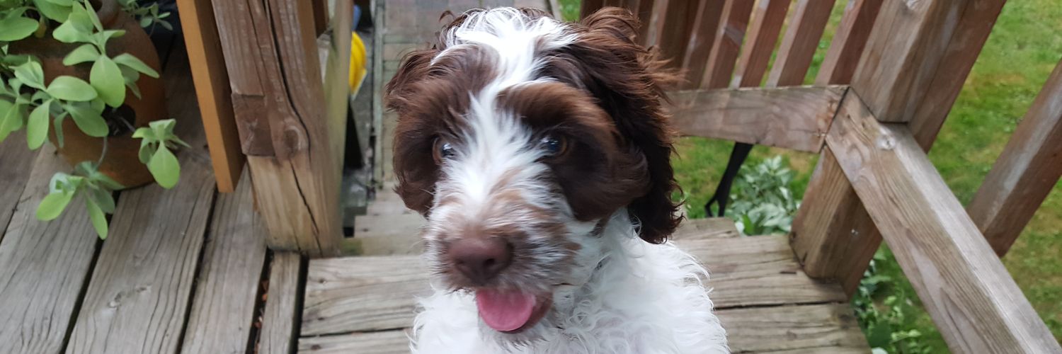 RUReadingthis♦♣♠♥ banner