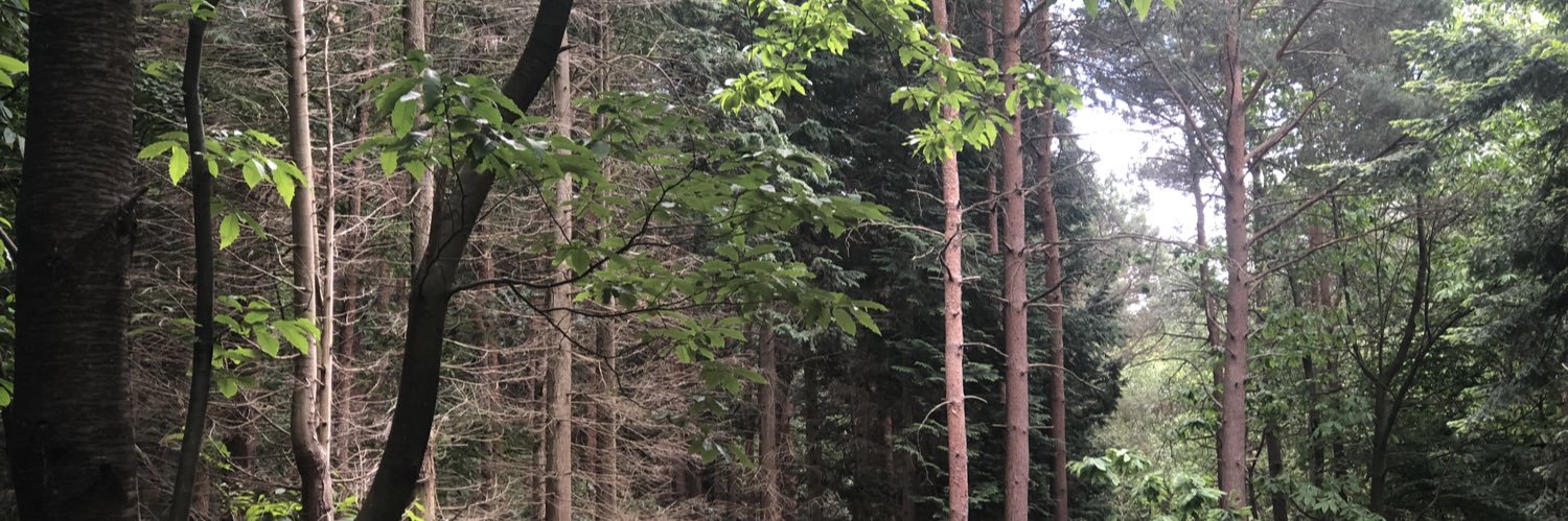 moveitsam's profile banner image