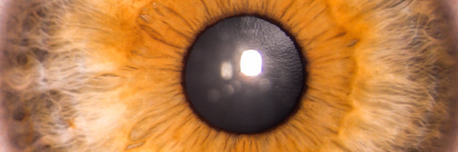 dr_cuevas's profile banner image