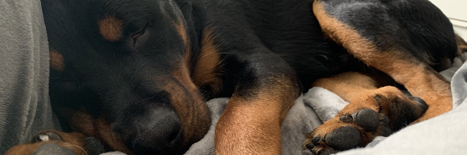 TaylorByromm's profile banner image