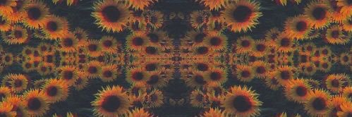_JustDatBitch_'s profile banner image