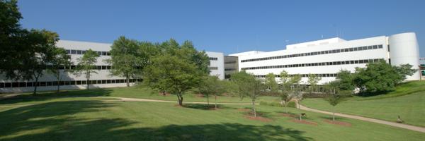 franos1 Profile Banner