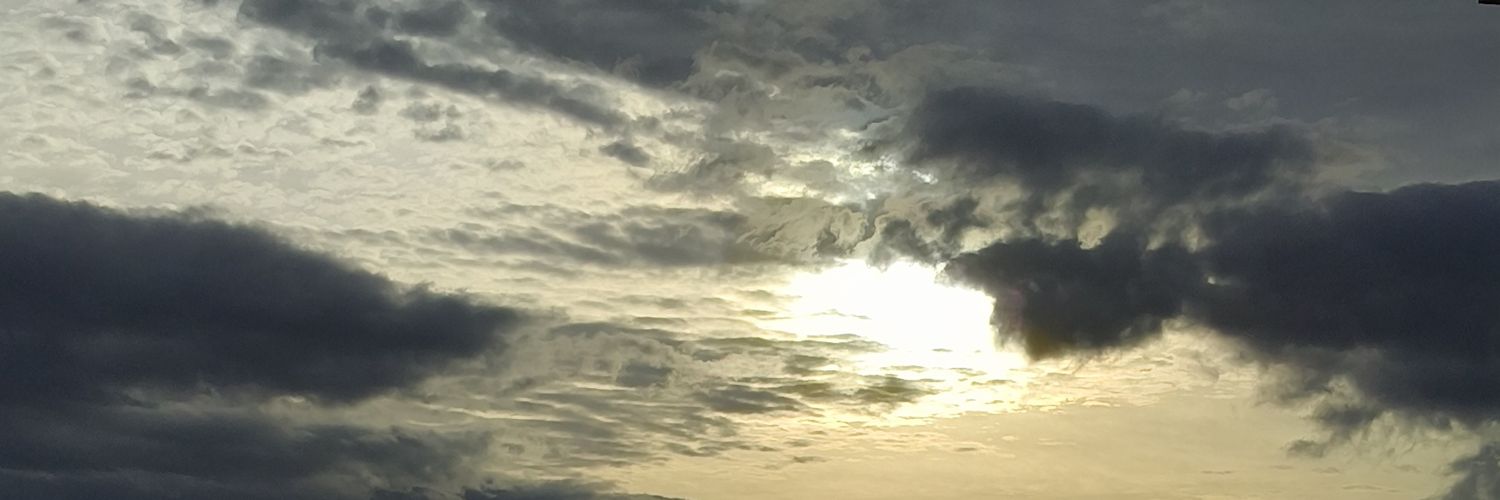 marianaf_g's profile banner image