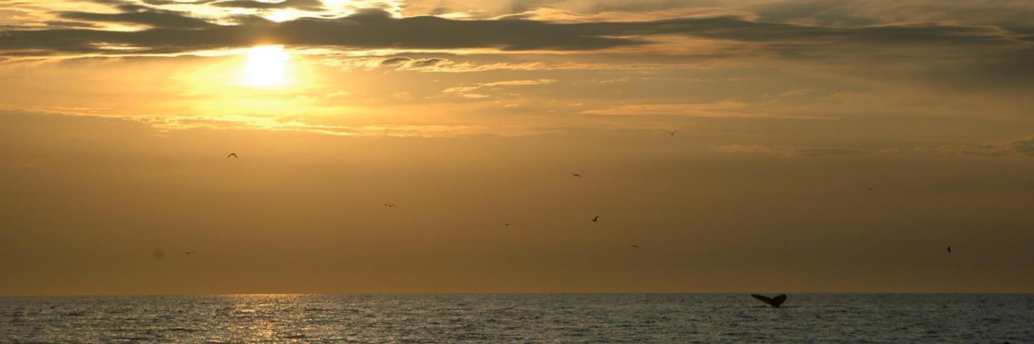 kaflang's profile banner image