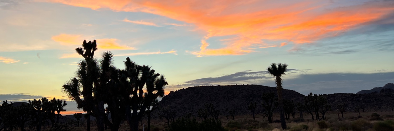 ZoshaRoberson's profile banner image