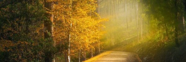 rahernandezg1's profile banner image