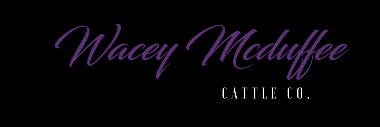 WMcDuffee's profile banner image