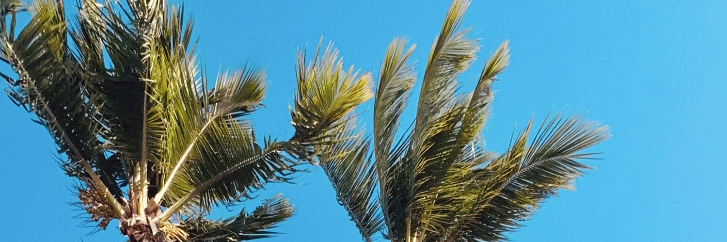 douguipeters's profile banner image