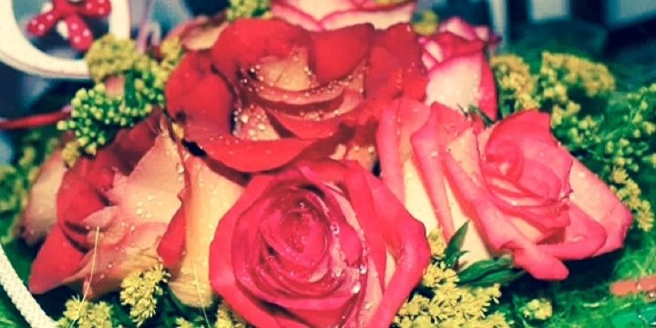 isaferrandiz's profile banner image