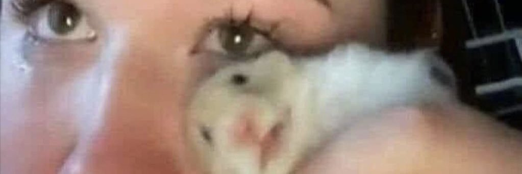 brookeprinster's profile banner image