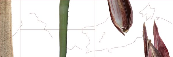 archivodesign Profile Banner