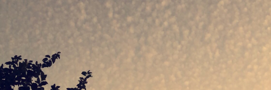 Ir__R's profile banner image