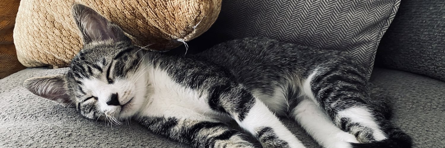 jstiebs's profile banner image