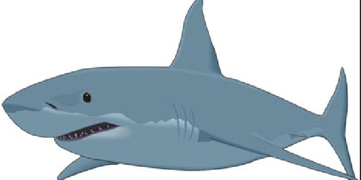 jedwardnelson's profile banner image