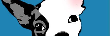 mandyecklund's profile banner image