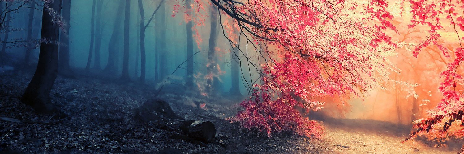 Appleton_Grove's profile banner image