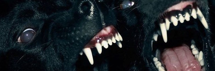 1Jphil's profile banner image