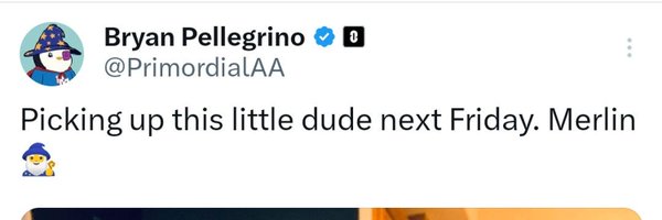 OmniiMerlin Profile Banner