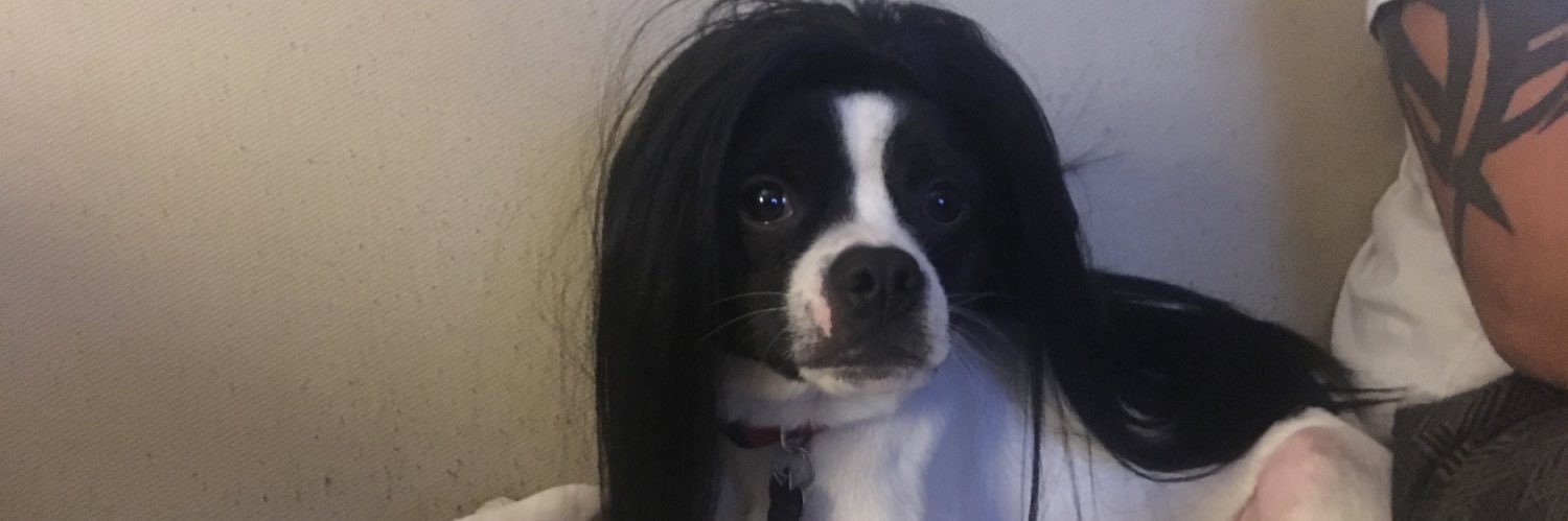 AlyssaMarucci's profile banner image